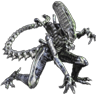 BaN